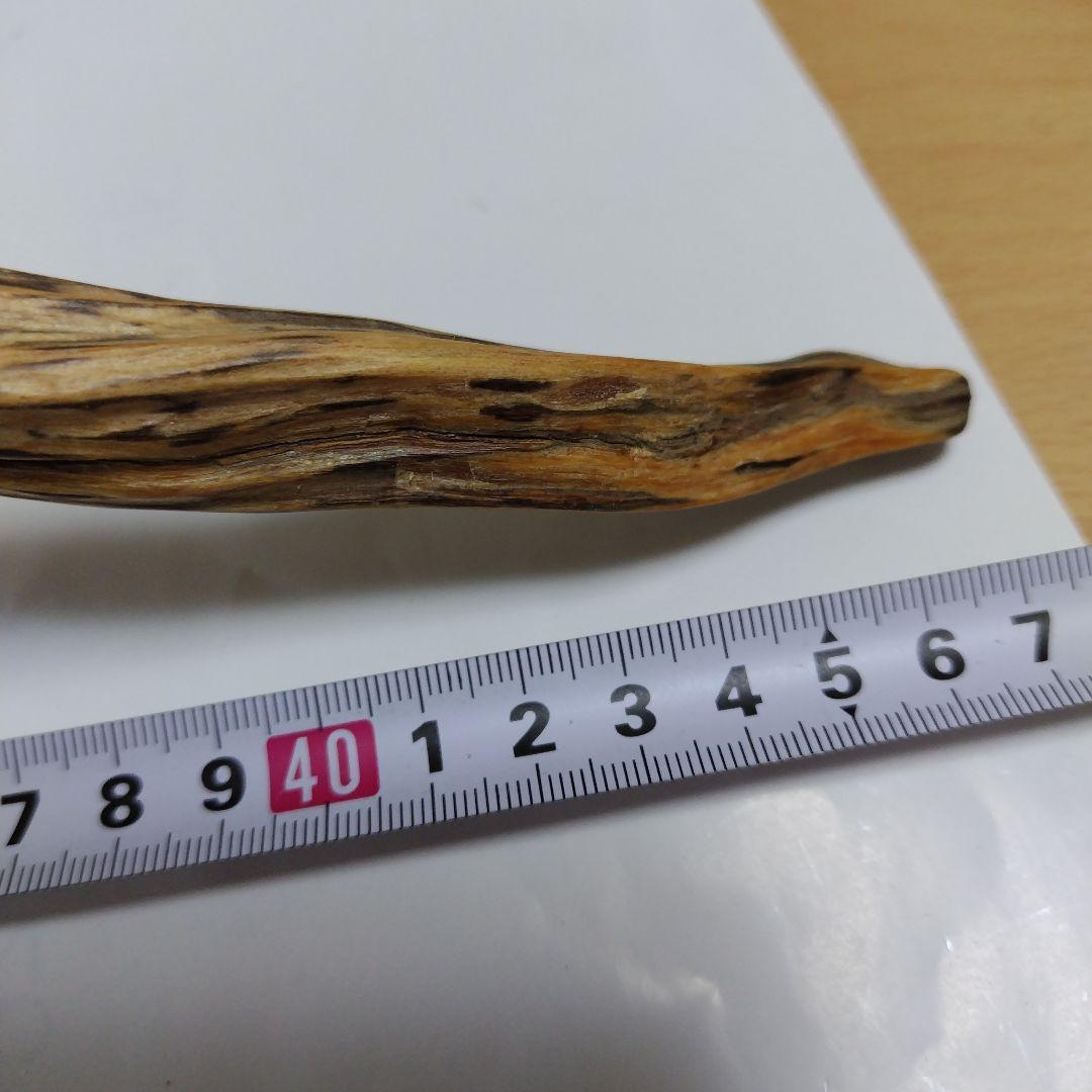 巳年縁起物肥松置物 約40cm