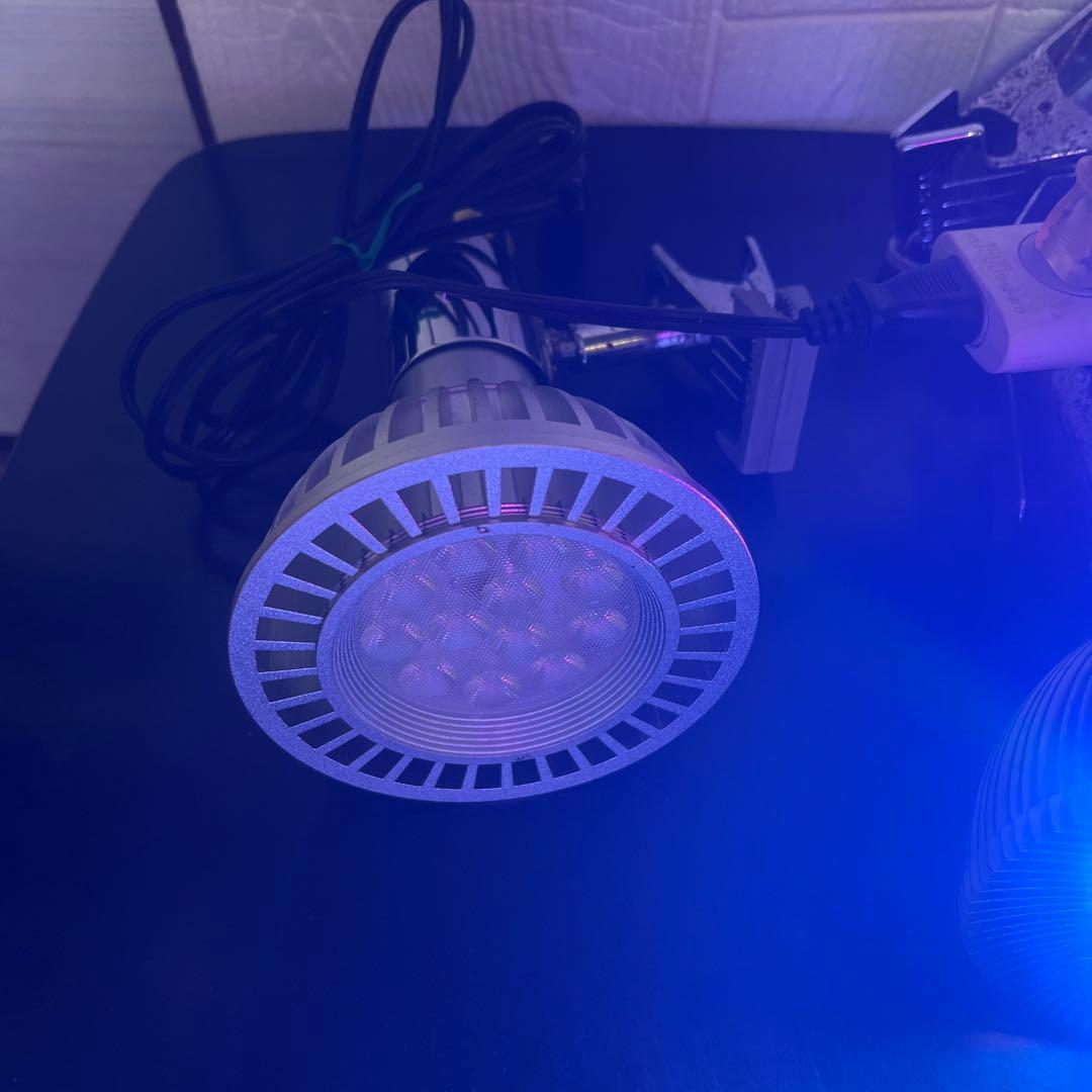 GrassyLeDio LED電球 23W 19Wまとめて3セット中古品です。