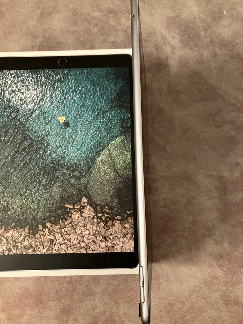 Apple iPad Pro 10.5 Wi-Fi+Cellular ジャンク