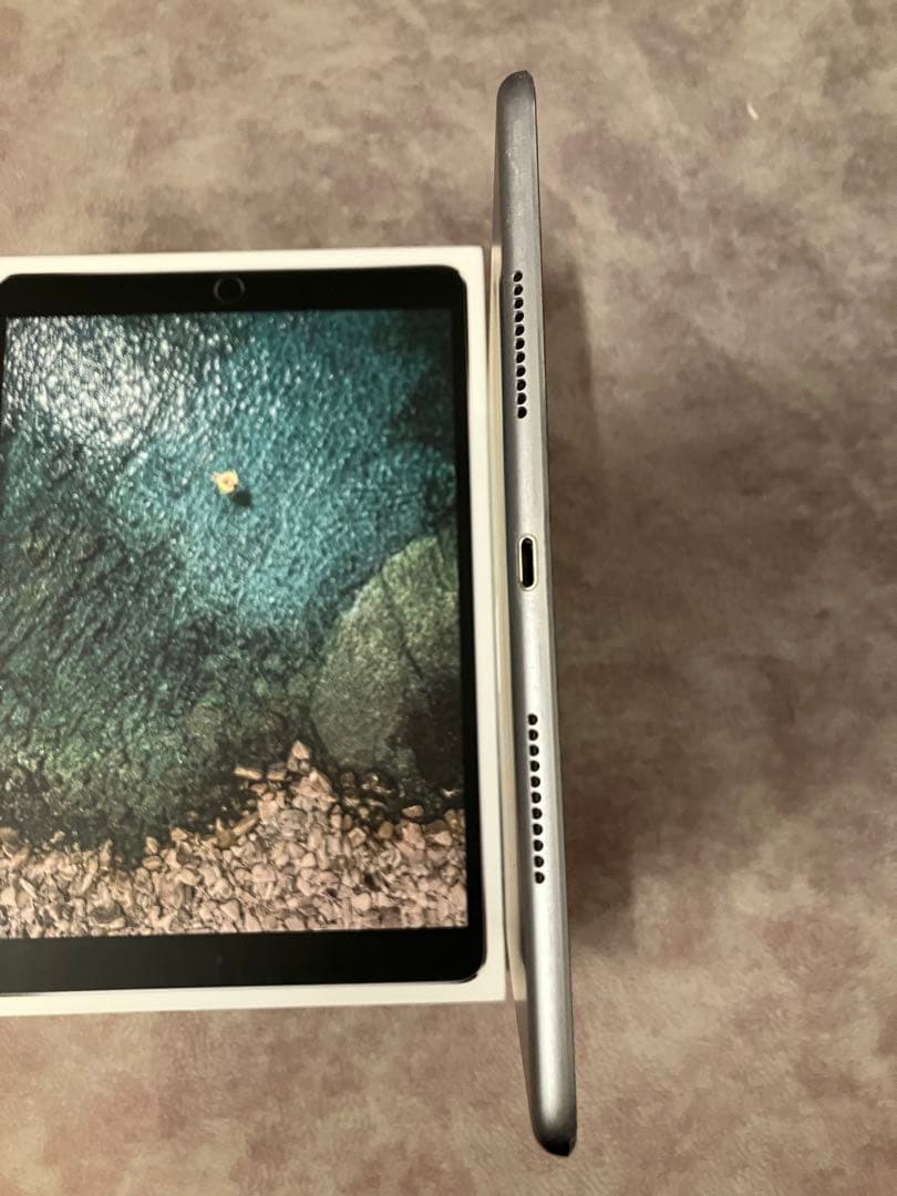 Apple iPad Pro 10.5 Wi-Fi+Cellular ジャンク