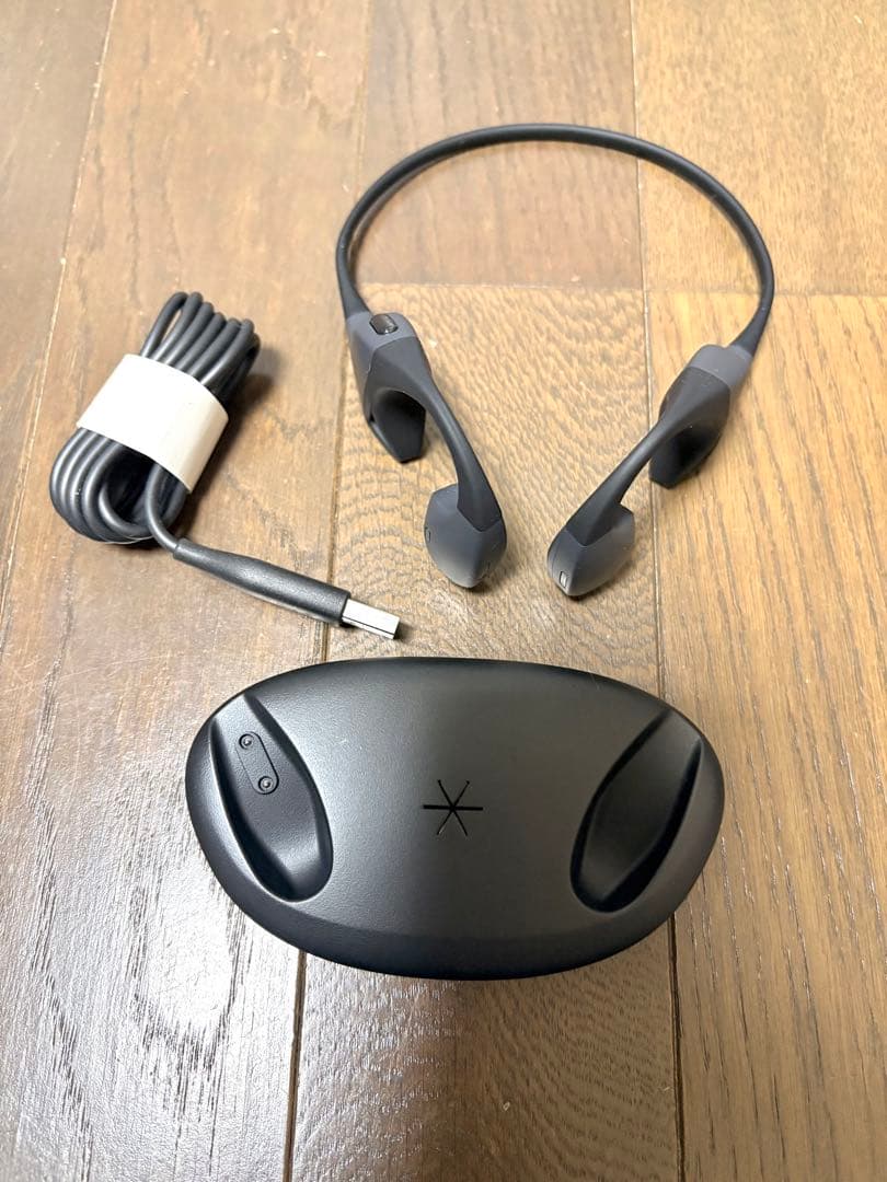 シオノギ ガンマ波サウンドケア kikippa イヤホン