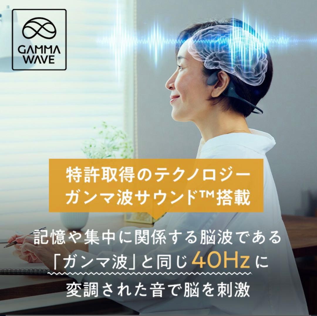 シオノギ ガンマ波サウンドケア kikippa イヤホン