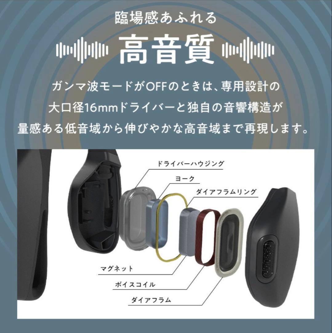 シオノギ ガンマ波サウンドケア kikippa イヤホン