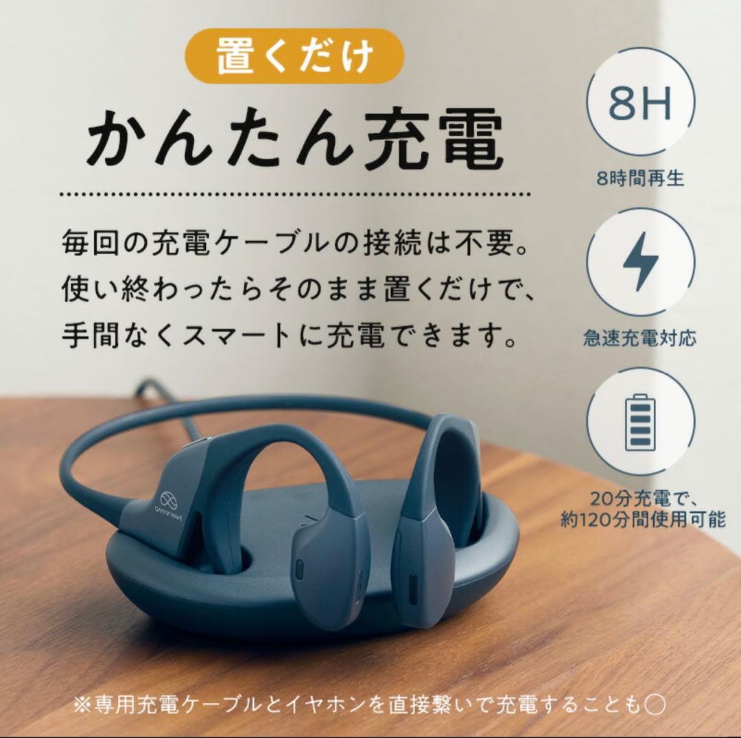 シオノギ ガンマ波サウンドケア kikippa イヤホン