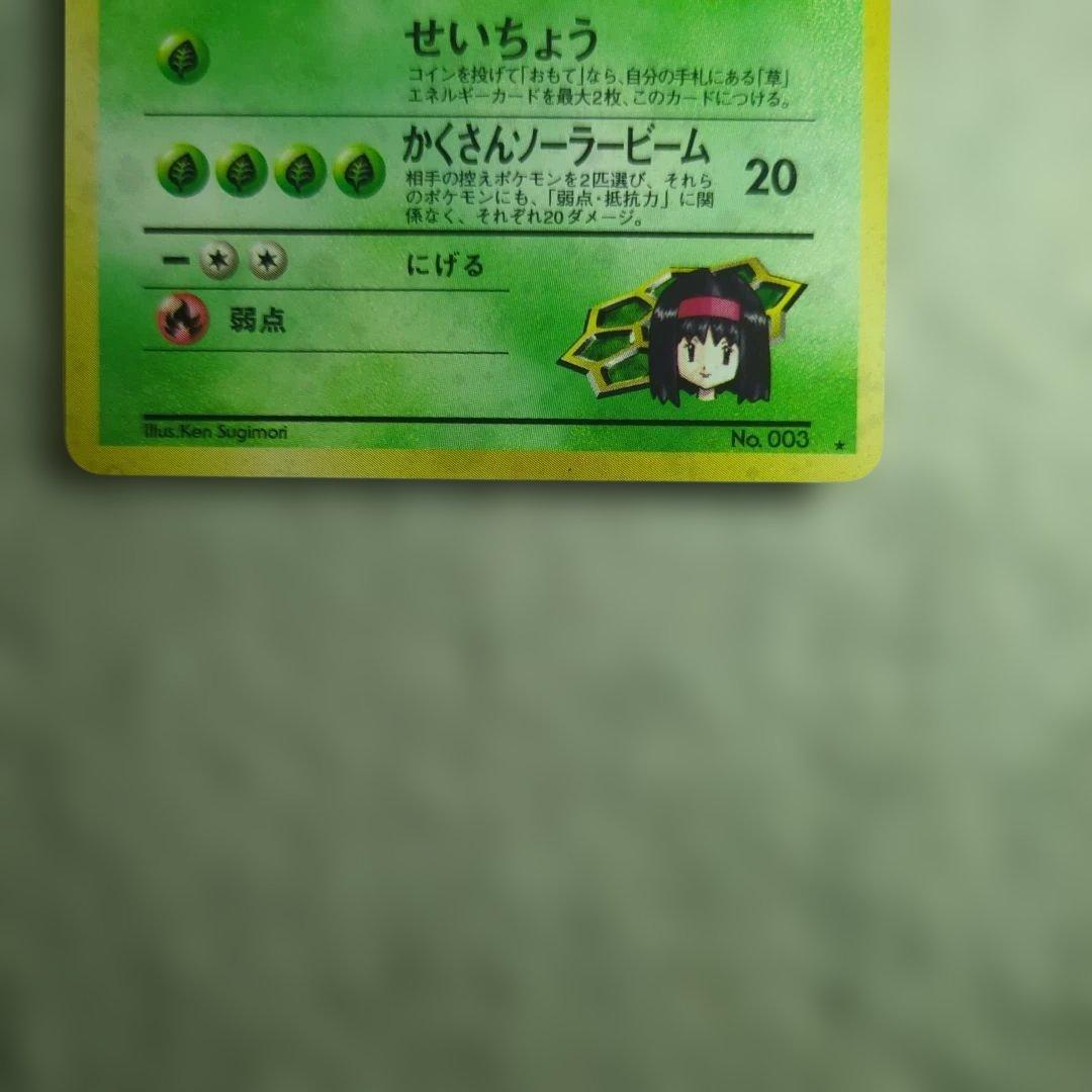 極美品＆美品 エリカのフシギバナ エリカのハクリュー ミニリュウ 旧裏