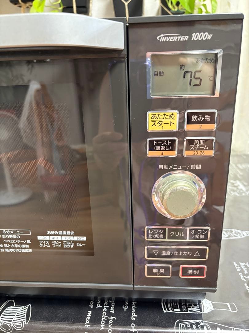 Panasonic NE-M266 オーブンレンジ (説明書付き)