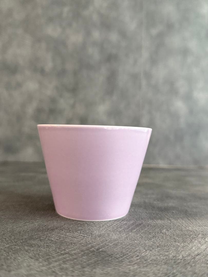 HASAMI 波佐見焼　マルヒロ　フルーツポンチ 蕎麦猪口　新品未使用　5個