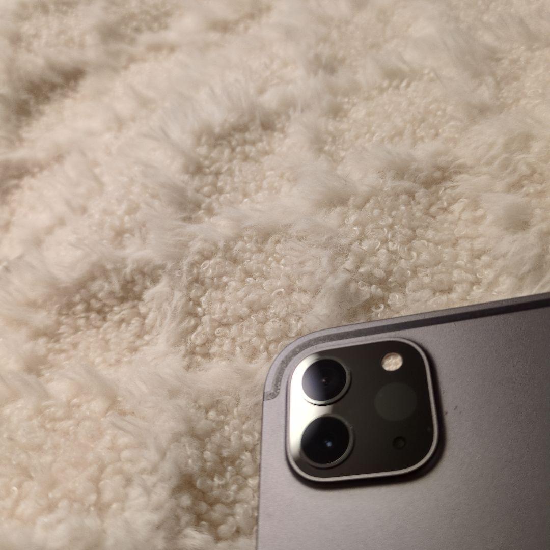 【公式診断89%】iPad Pro 11 第2世代 256GB セルラー +ペン