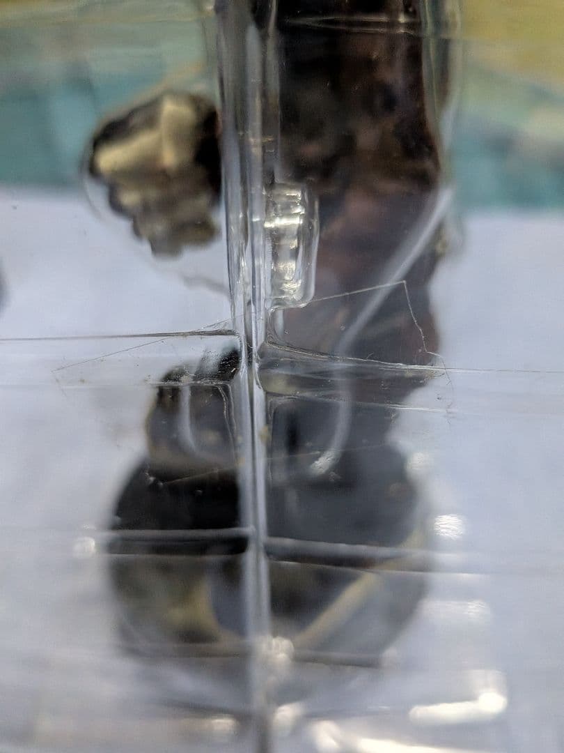 Bone in the TFOAIII iconicvoyageと缶バッチ