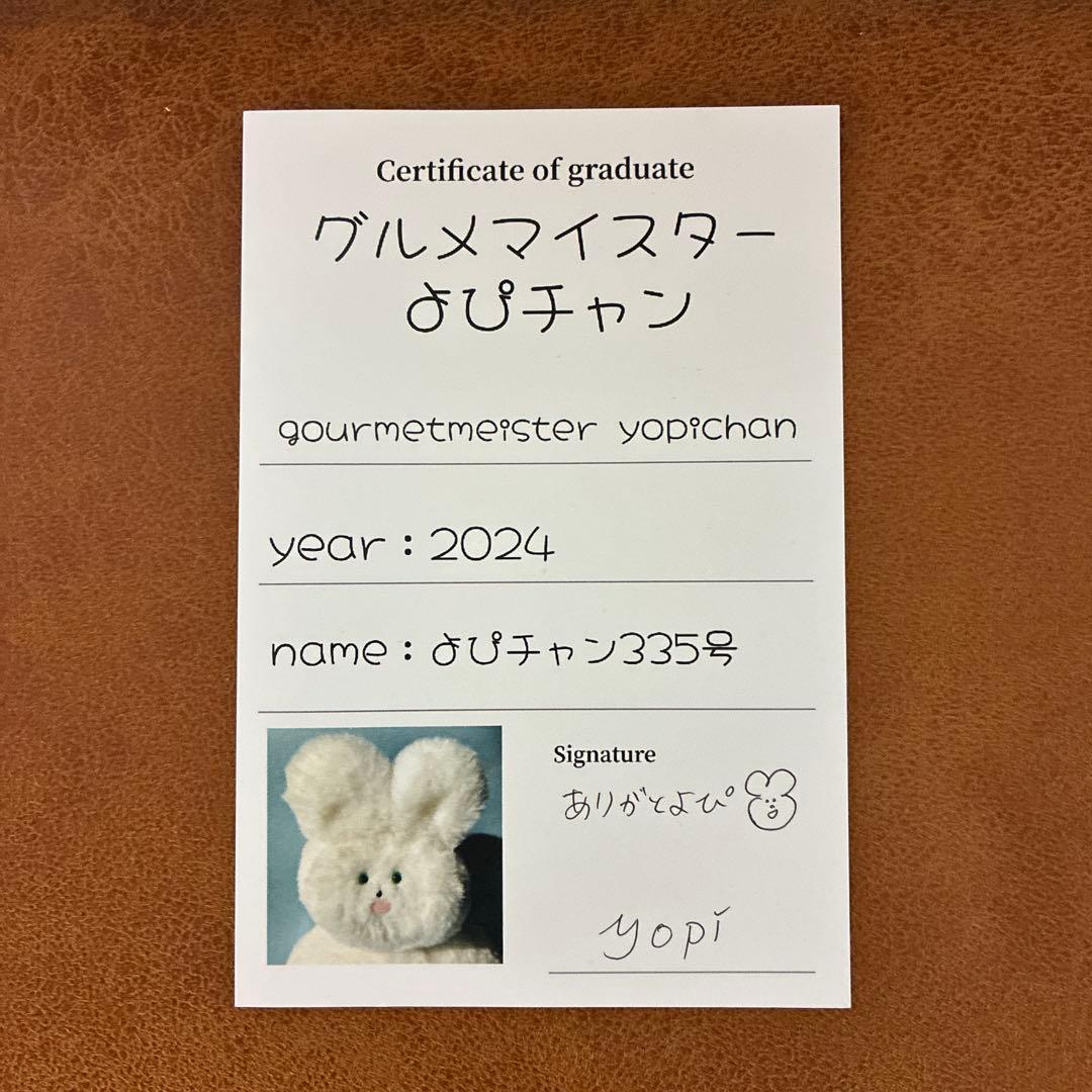 グルメマイスターよぴちゃん　ノーマル　本体 正規品