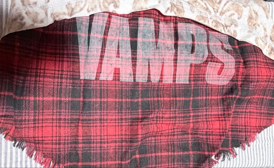 VAMPS グッズセット