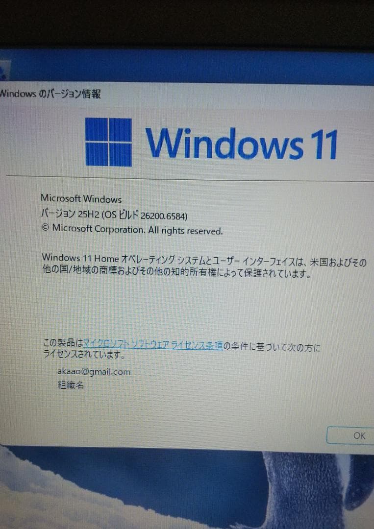 美品 LAVIE NECノートPC NS150N 使用期間極小 RAM 8GB