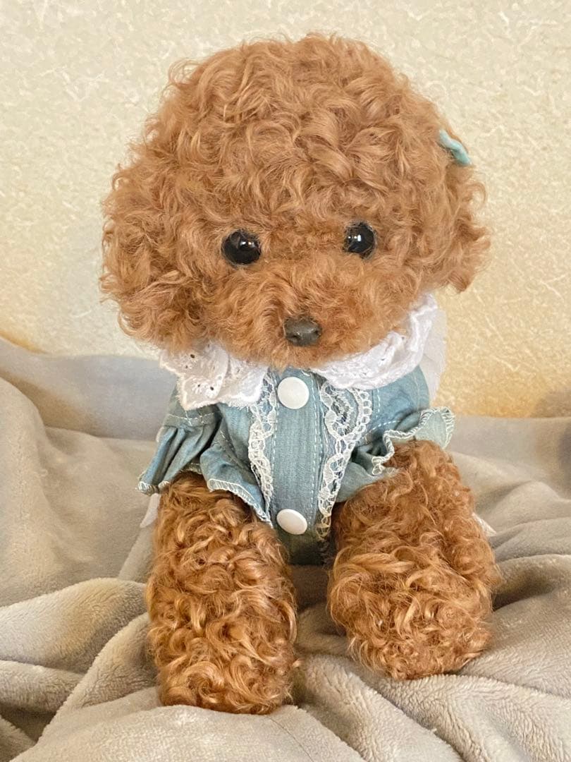 ぽぽみさん　ぬいぐるみ　トイプードル アートドール 作家 ハンドメイド