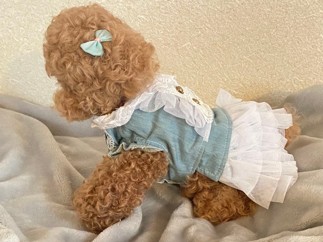ぽぽみさん　ぬいぐるみ　トイプードル アートドール 作家 ハンドメイド