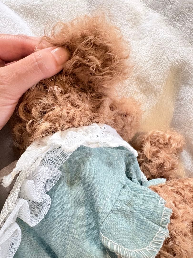 ぽぽみさん　ぬいぐるみ　トイプードル アートドール 作家 ハンドメイド