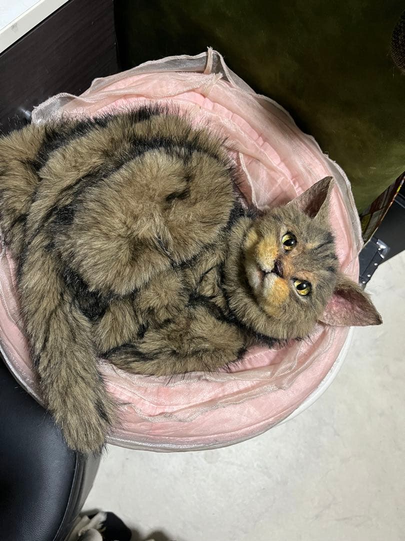 猫 キジトラ ぬいぐるみ マンチカン
