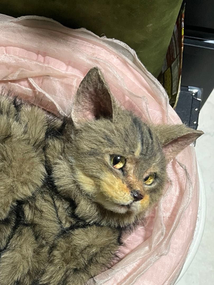 猫 キジトラ ぬいぐるみ マンチカン