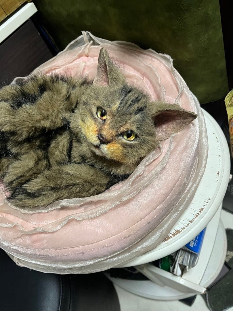猫 キジトラ ぬいぐるみ マンチカン