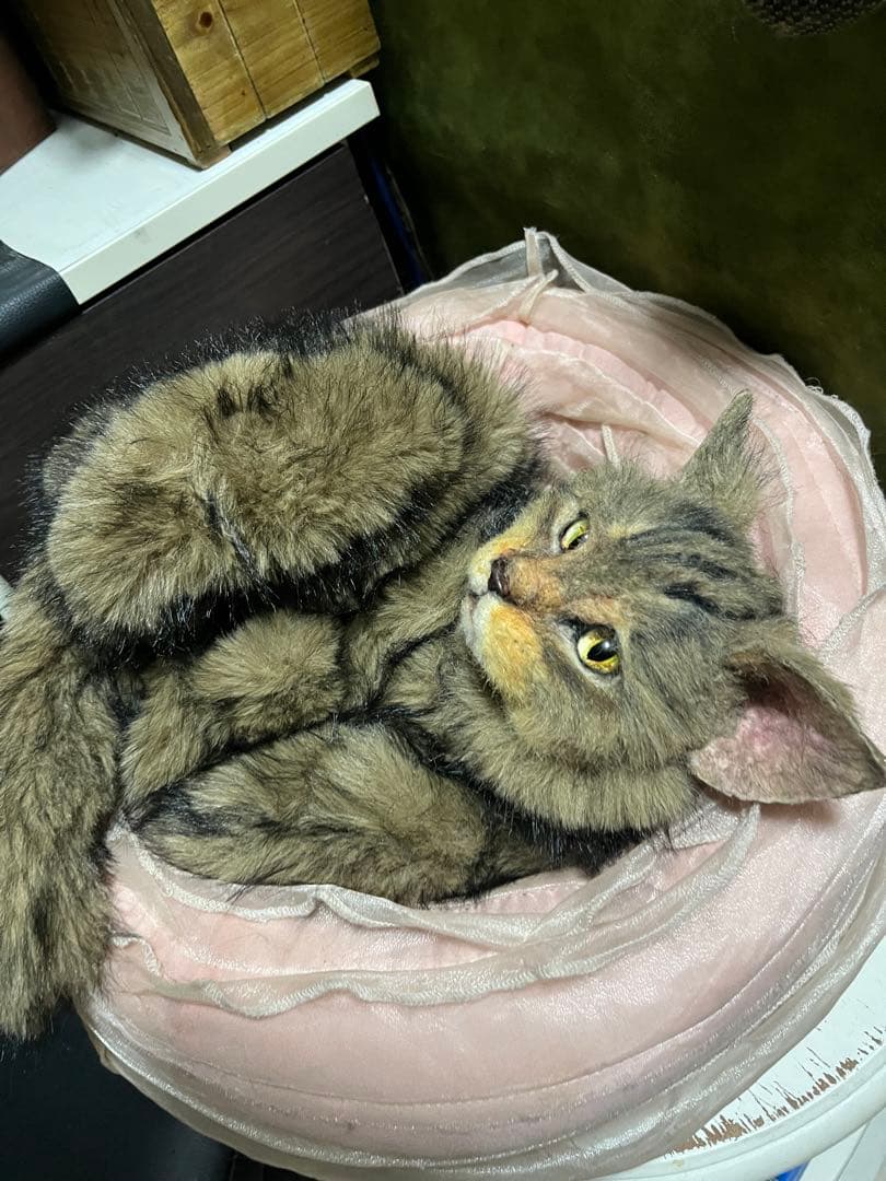 猫 キジトラ ぬいぐるみ マンチカン