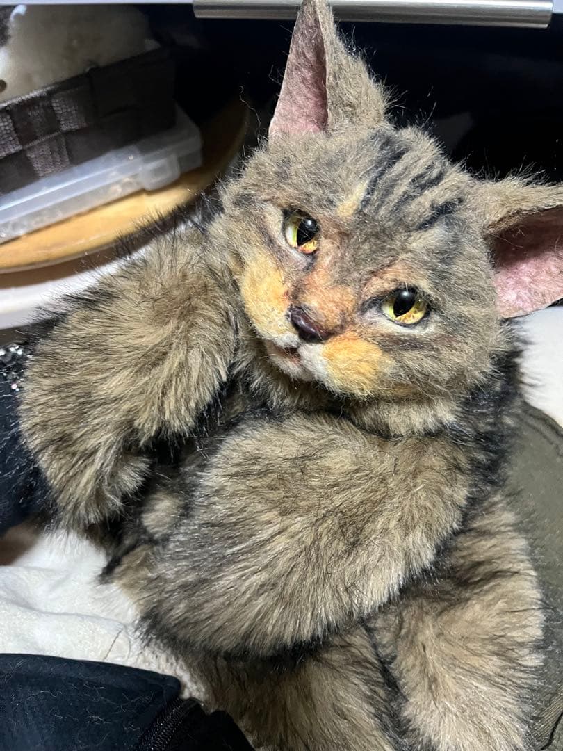 猫 キジトラ ぬいぐるみ マンチカン
