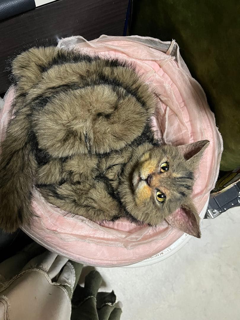 猫 キジトラ ぬいぐるみ マンチカン