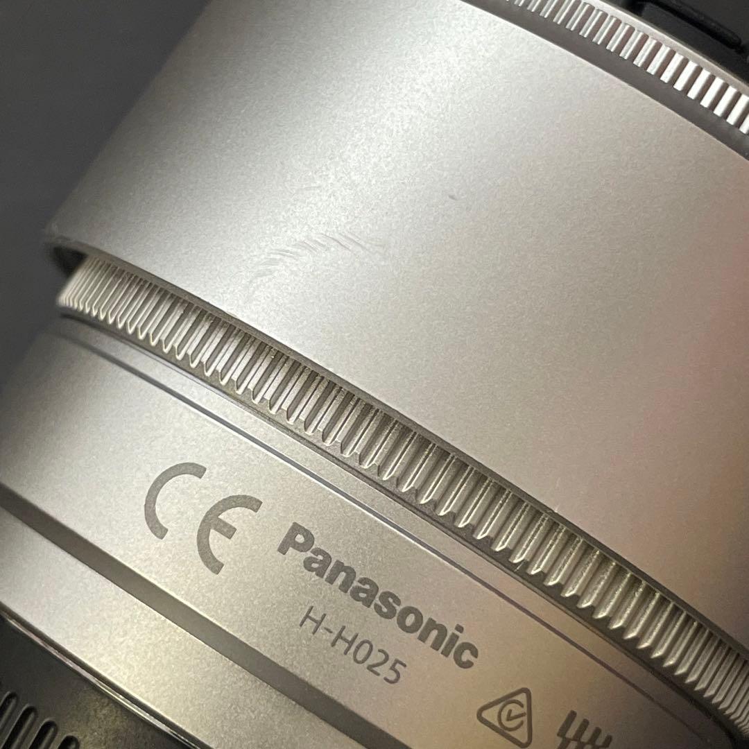 Panasonic DC-GF10W 4Kミラーレス一眼カメラ