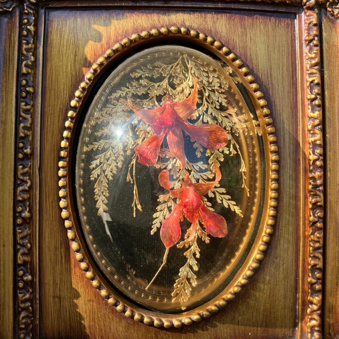 アンティーク　胡蝶蘭　花　金24KGP　リーフインフレーム インテリア ゴールド