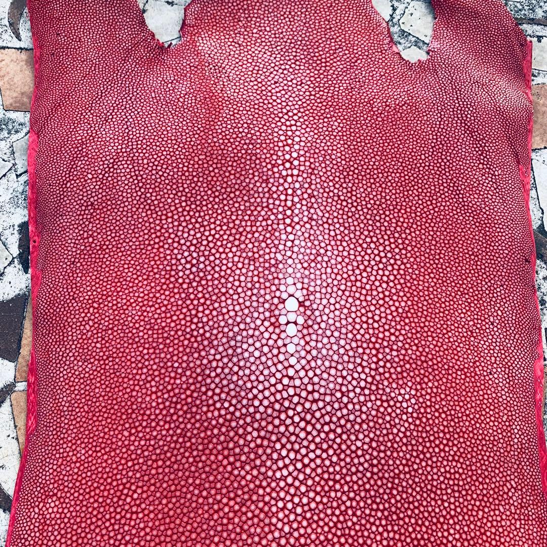 11) S エイ革 鮫革 鮫皮 stingray ガルーシャ スティングレイ