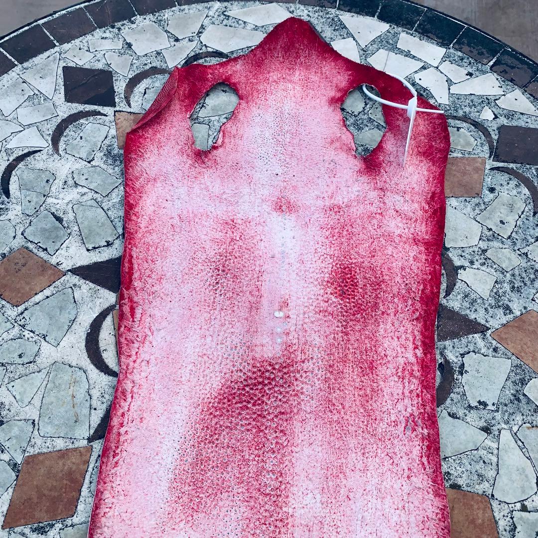 11) S エイ革 鮫革 鮫皮 stingray ガルーシャ スティングレイ