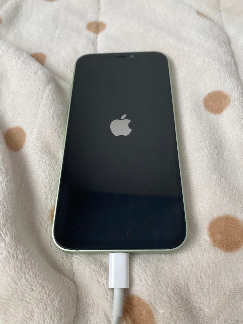 Apple iPhone 12miniグリーン 本体 ジャンク