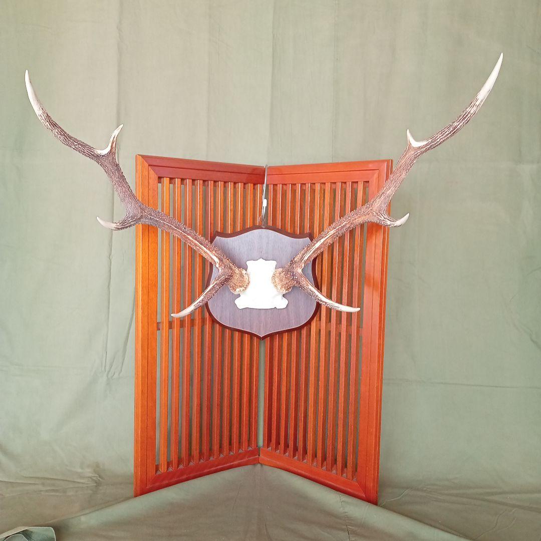 鹿角　オブジェ　C