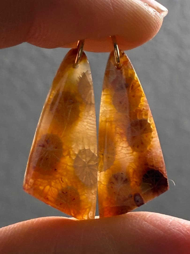 skygray　14kgf 紅葉のようなフォッシルコーラル ピアス