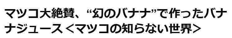 糖度の鬼◆110㎝◆スーパー・ドワーフ=キングナムワ。バナナ苗◆耐寒強、関東露地