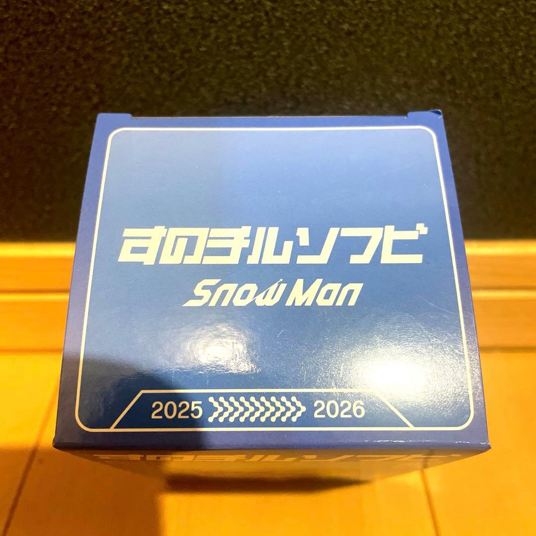  Man Dome Tour ON すのチルソフビ 渡辺翔太、目黒蓮