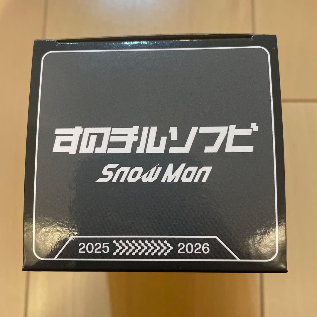  Man Dome Tour ON すのチルソフビ 渡辺翔太、目黒蓮