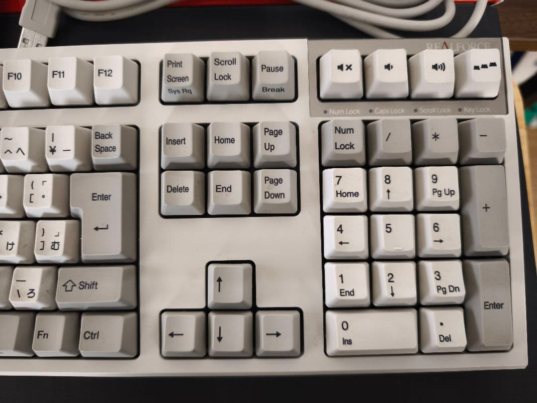 REALFORCE R2A-JPV-IV 日本語配列 変荷重 APC キーボード