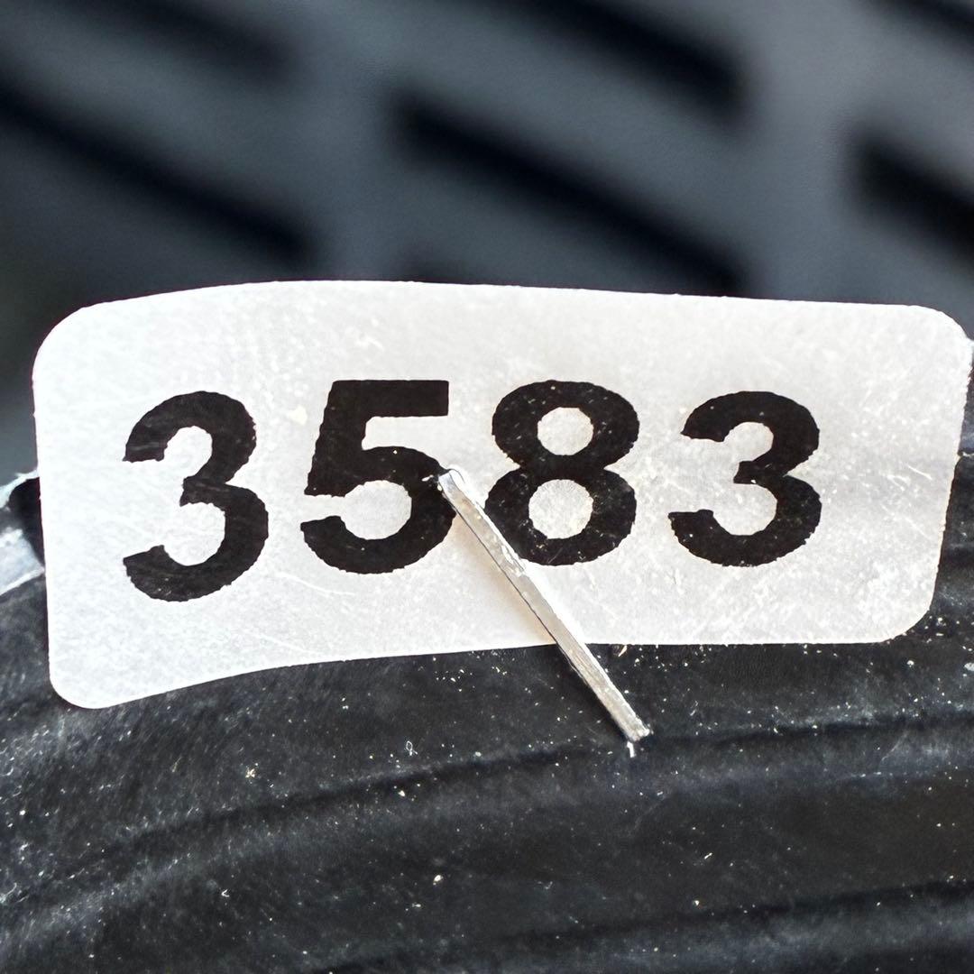 ｍ*a様 3583☘️蕾花付き☘️⭐️真黒⭐️小輪⭐️超多弁⭐️広瀬園芸⭐️