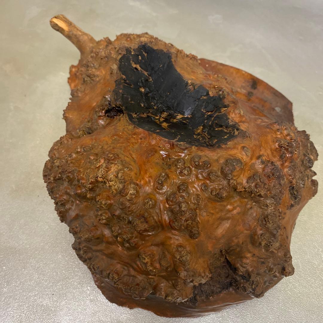 木材　コブ材　瘤　材料　バール　杢材　B