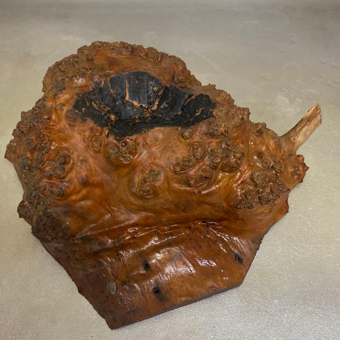 木材　コブ材　瘤　材料　バール　杢材　B