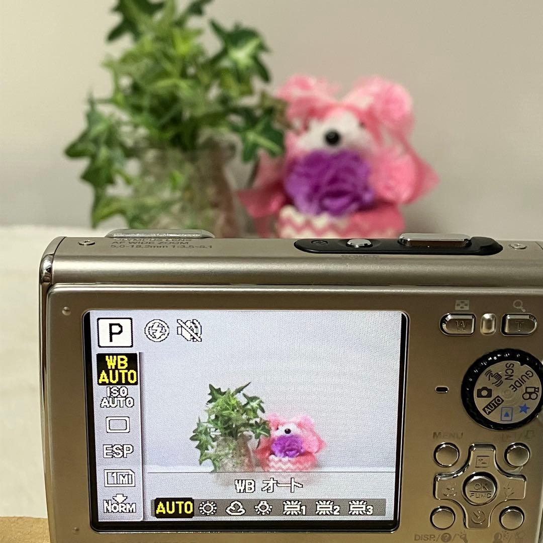 箱付 OLYMPUS デジタルカメラ μ1030SW メタルブラック デジカメ