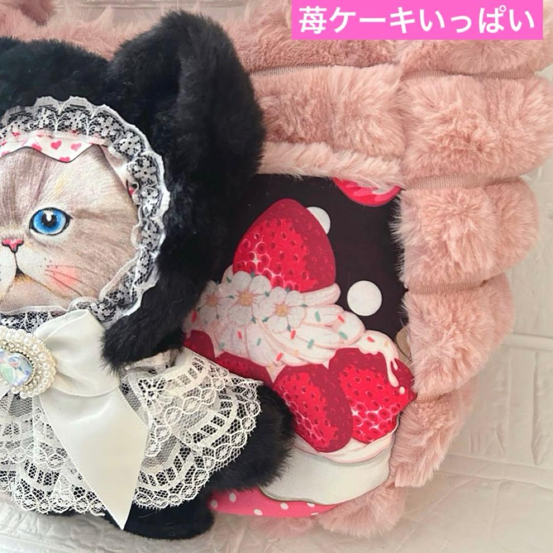 さ*ら様 ポップコーンファー＆ケーキ　ルミちゃん　コヤンイサムチョン　ころりんト