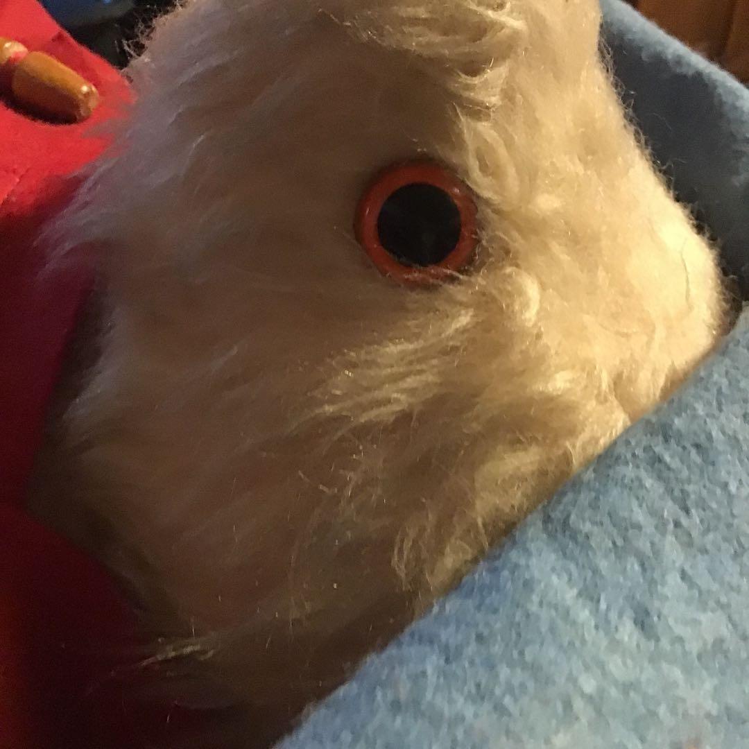 レア商品gabrielle de パディントンぬいぐるみ