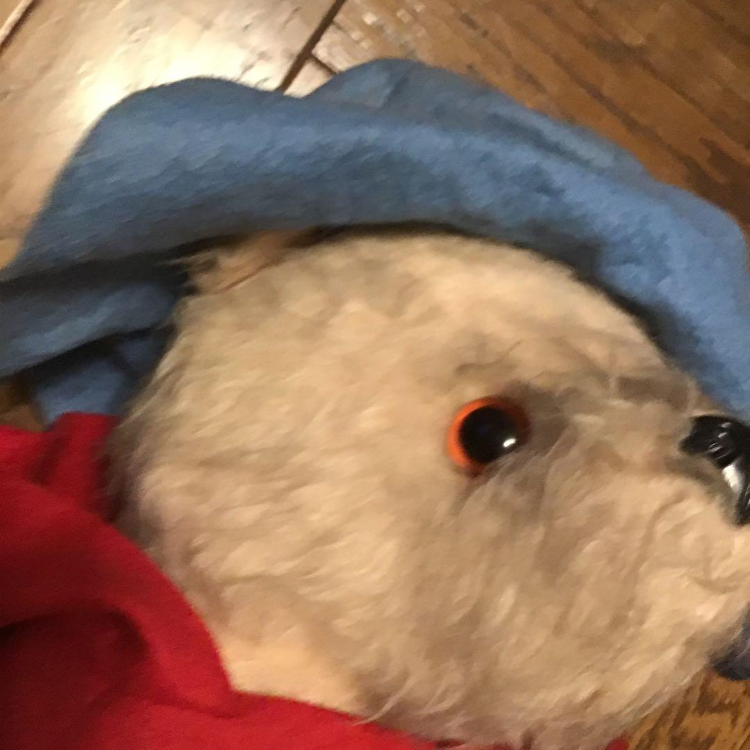 レア商品gabrielle de パディントンぬいぐるみ