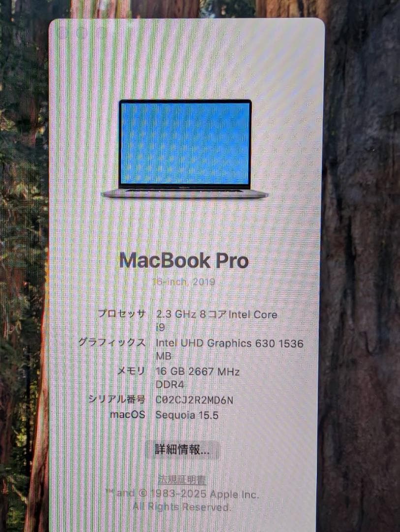MacBookPro16 i9 SSD1TB 16インチ メモリ16GB