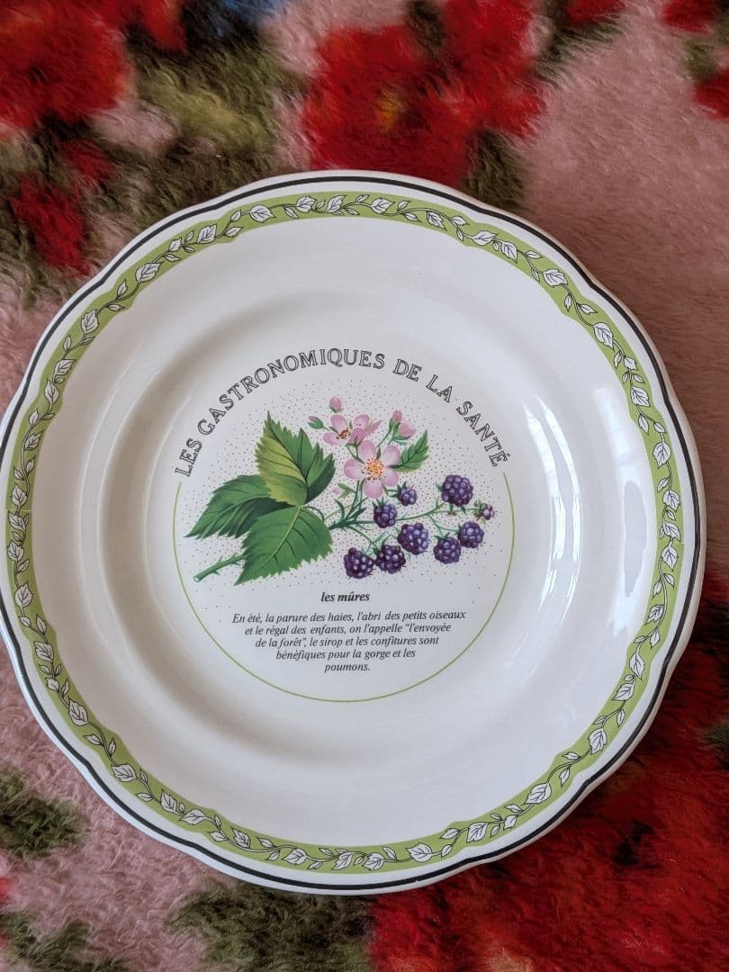 GIEN フルーツ柄プレート3枚　クィーンズ テディベア1枚