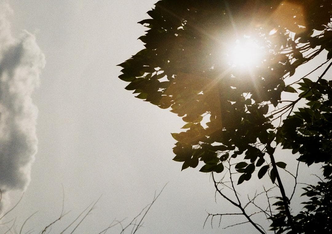 Olympus Pen D3 実写済み コンパクトフィルムカメラ