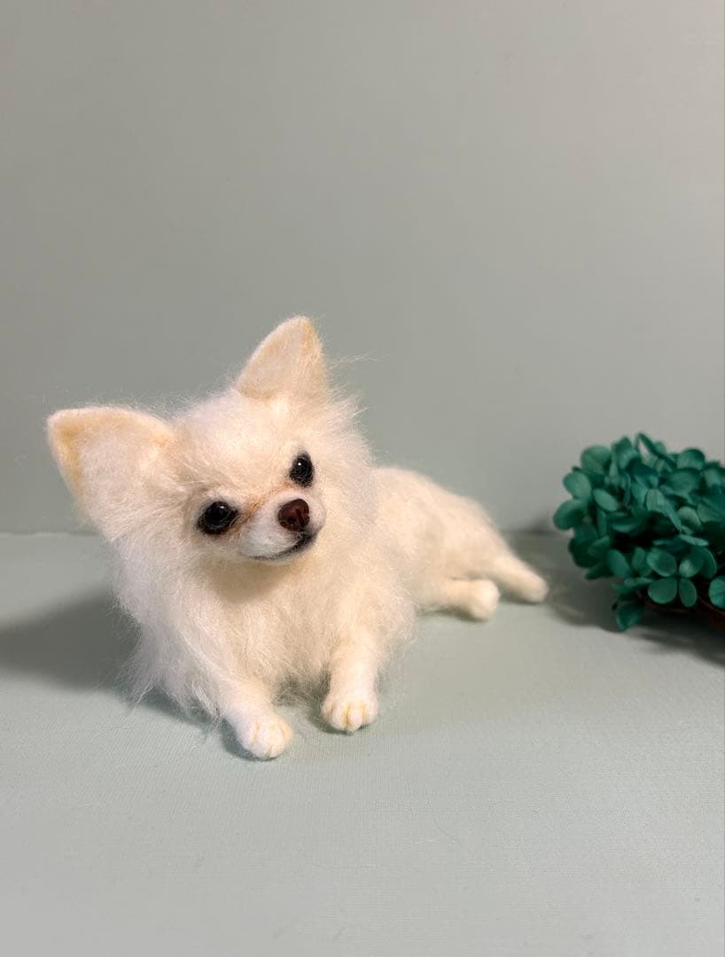 羊毛フェルト　伏せをするチワワちゃん