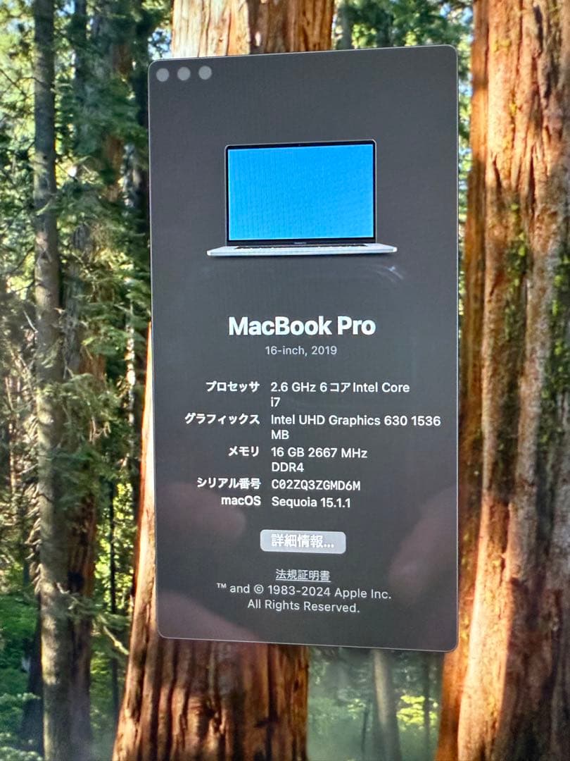 【美品】MacBook Pro 16-inch 2019スペースグレイ