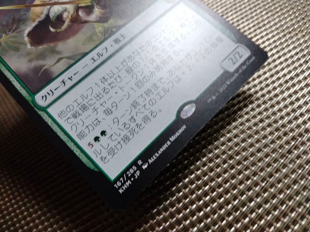 【ご確認用】カルドハイム khm エルフの戦練者 日本語 1枚　MTG