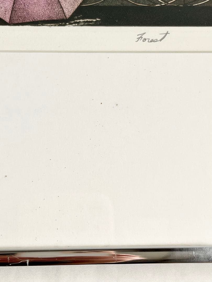 黒田茂樹「Forest」67/70直筆サイン入り 銅版画アート ニールセン額